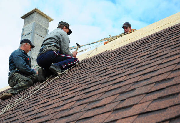 Best Residential Roofing Contractor  in West Perrine, FL