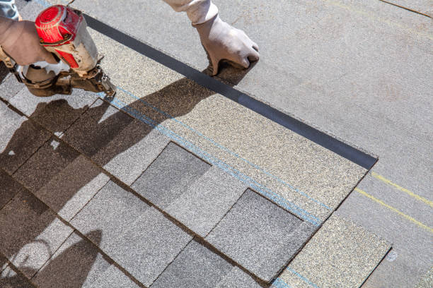 Best Residential Roof Replacement  in West Perrine, FL